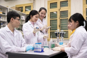 Chi tiết học phí cho từng ngành